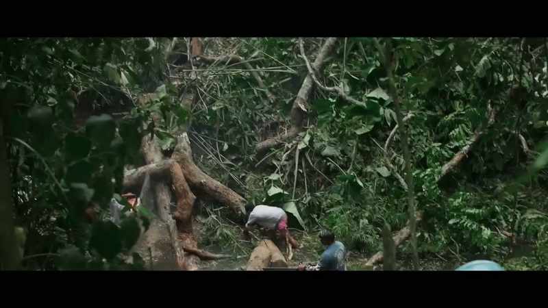 I thought your forest was protected, why are there loggers here?
