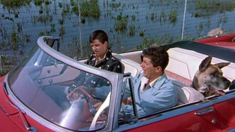 I thought you put gas in the car