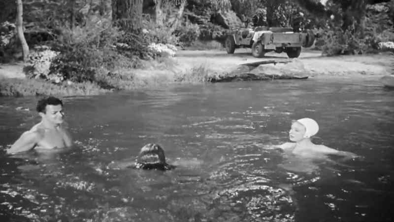 I thought you said you couldn't swim