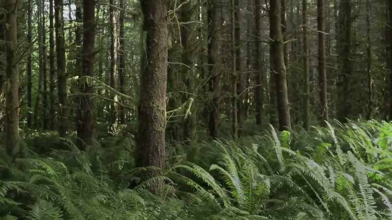I thought we weren't in a spot where there's active logging