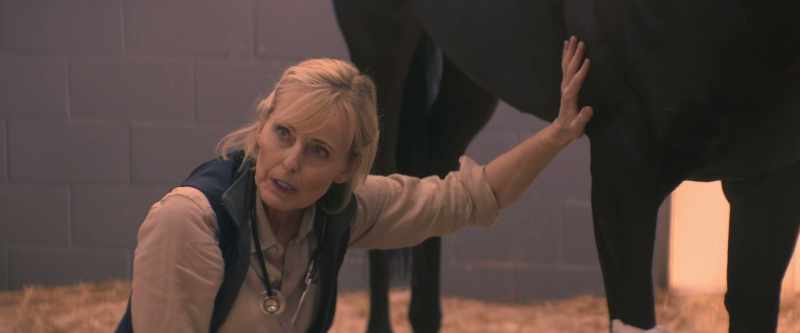 I told you that we shouldn't have brought a mustang into our stables