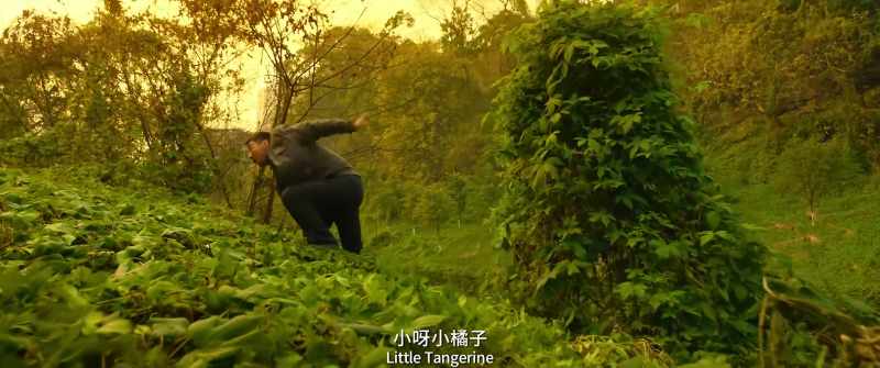 I told you