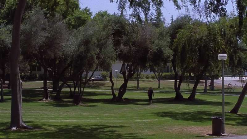 I took a shortcut through Hawkins Park