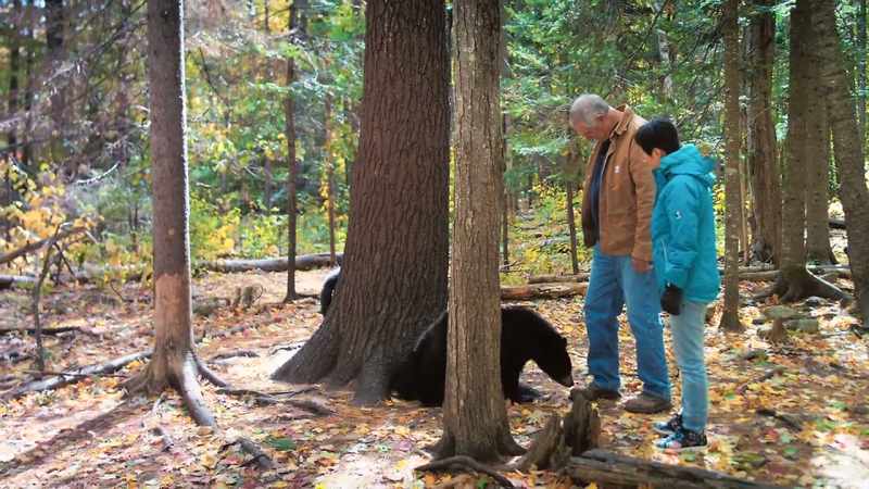 I was touched by Ben ahd his love for the bears