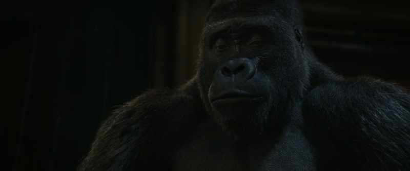 I used to think, i- if I'd learned how to fight like my father