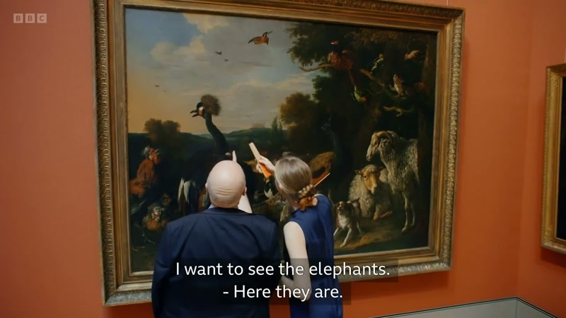 I want to see the elephants. - Here they are