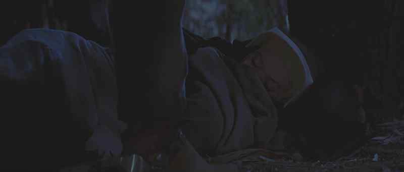 I want you up in that tree