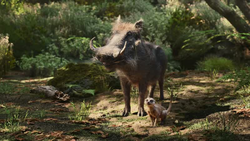 Timon PumbaaI want you to meet my best friend NalaBest friend Well that hurtsNala you're gonna love it hereThis place is amazingIt's everything you could ever wantSimba we need to leaveScar has taken