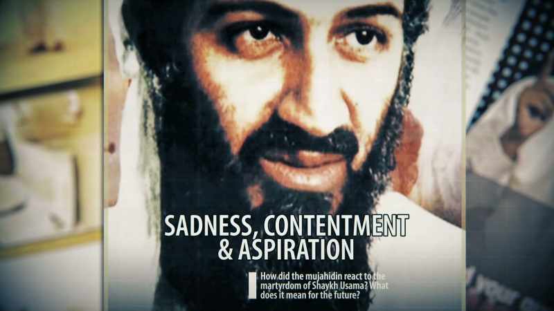 I WAS ARRESTED TWO WEEKS AFTER OSAMA BIN LADEN WAS KILLED
