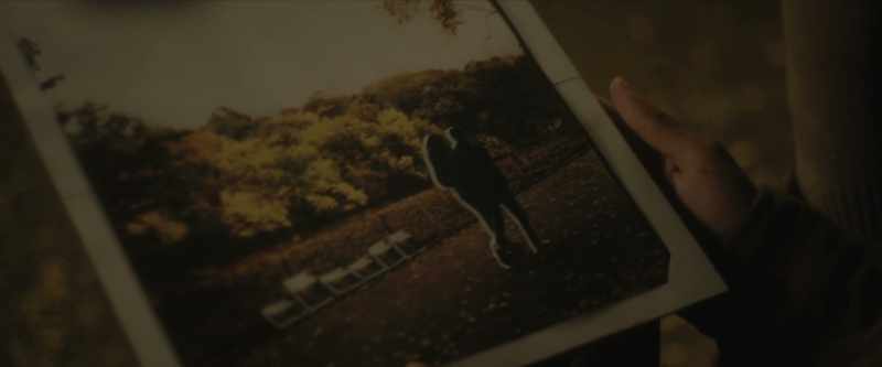 I went and bought your photograph