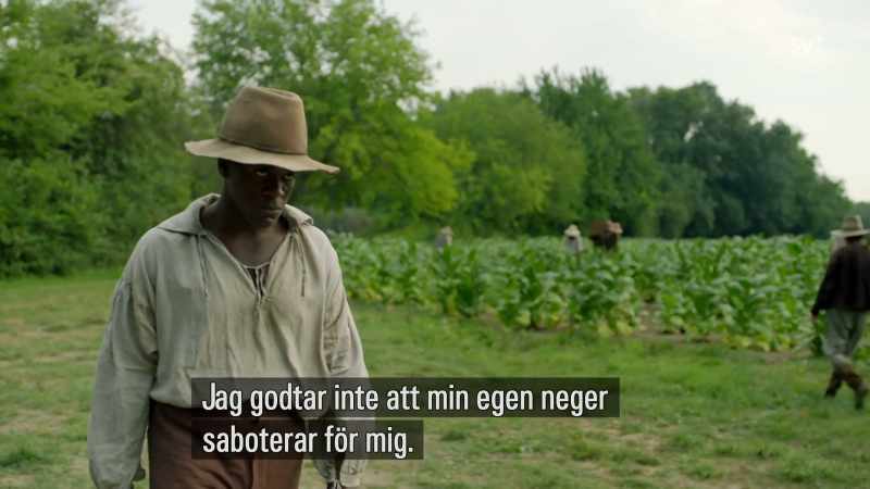 I will be damned if my own Negro