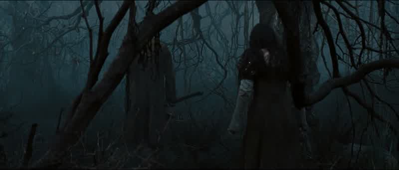 I will find you!