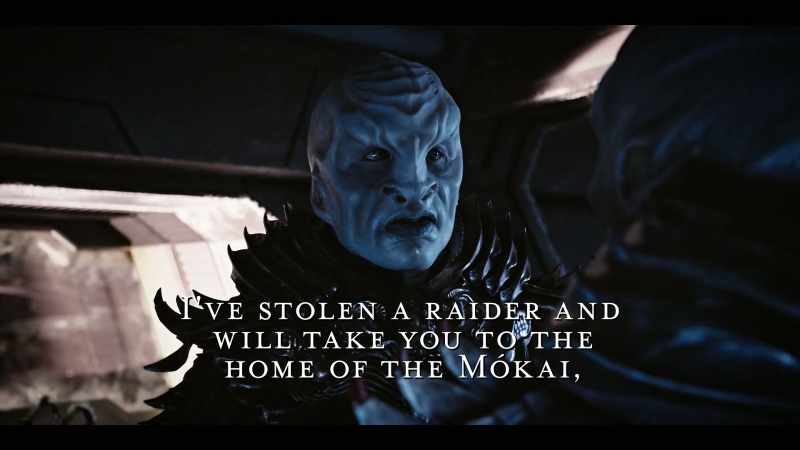 I will leave you with the matriarchs