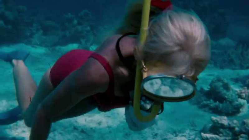 I will probably be diving when I'm in a wheelchair