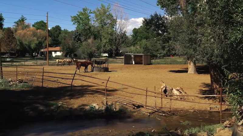 I would just love to be at the ranch every day