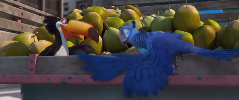 L would love to go five minutes without almost getting killedls that too much to askFor a bird who can't fly yeah