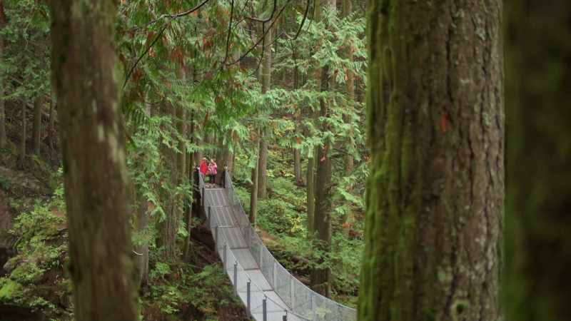 I would not cross this bridge