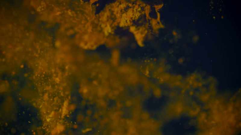 ian-the-first-creatures-on-earth-microbes