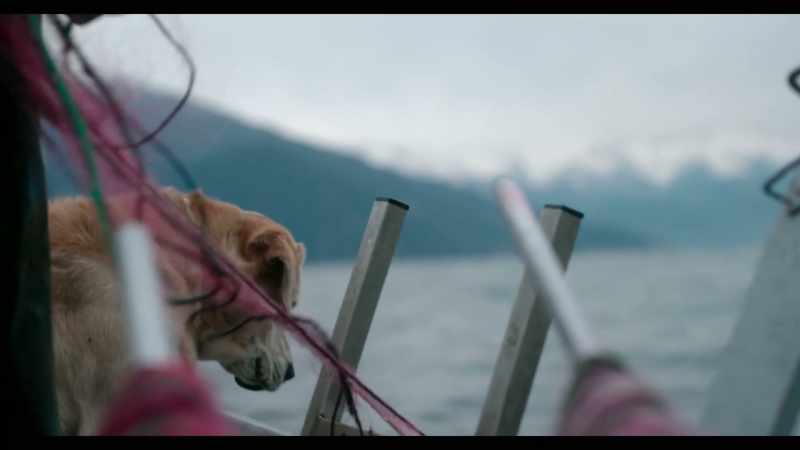 Ice is always concentrating when he's on the boat