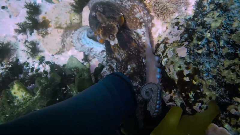 I'd been underwater for quite a long time