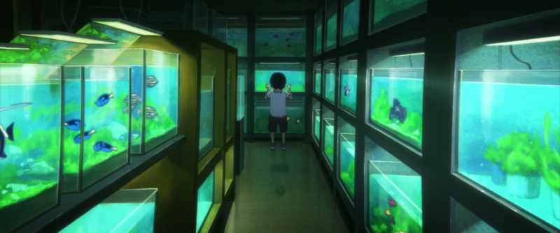 I'd go to look at it every day after school