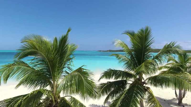 I'd gone down to the Bahamas with some friends