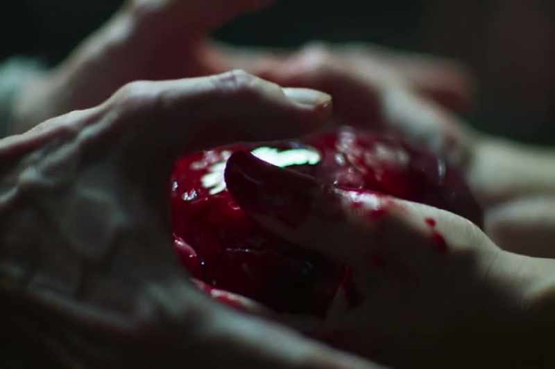 I'd know your heart if I could hold it in my hand