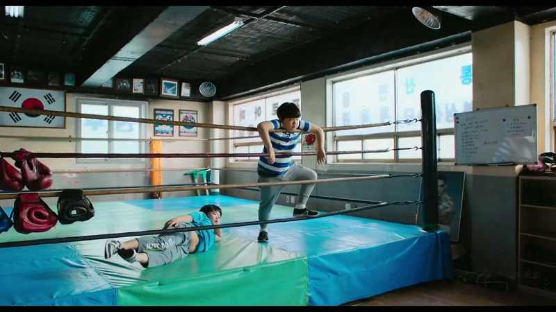 I'd like to tell you a thing or two about boxing