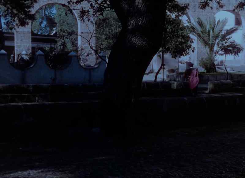 �Alto! - There he is! Get him!
