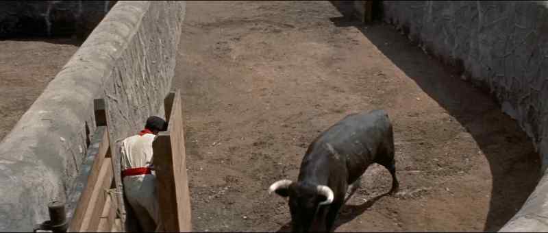 �Toro! ¡Toro, aqui!