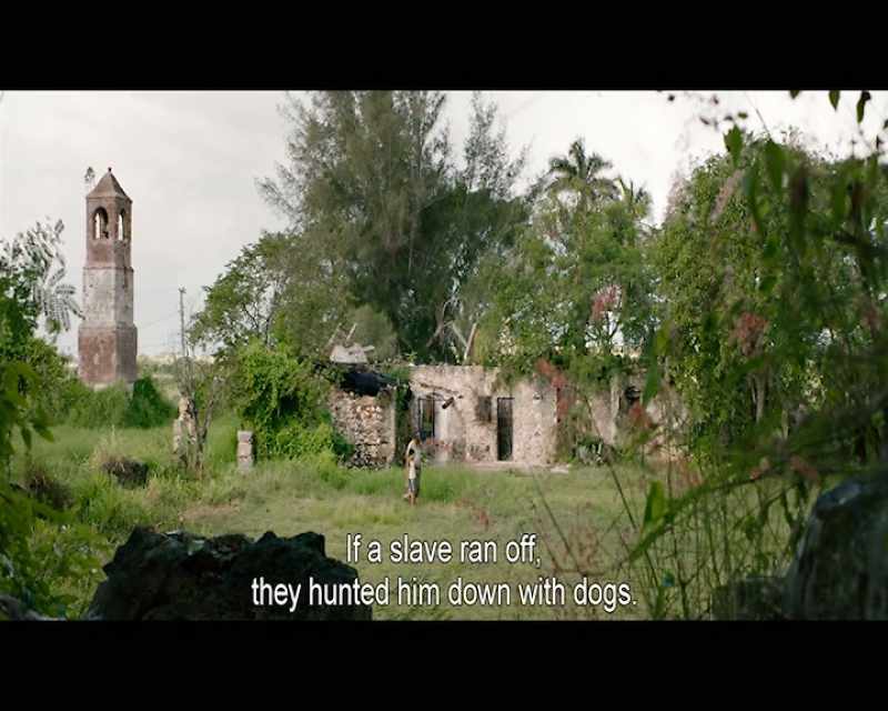 If a slave ran off, they hunted him down with dogs