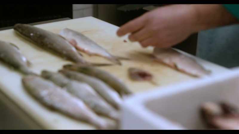 If Alberto's fish are surviving and growing