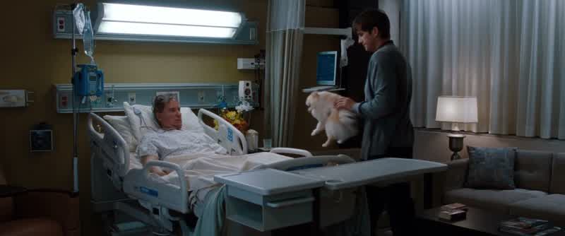 If anybody asks, this is a Seeing Eye dog
