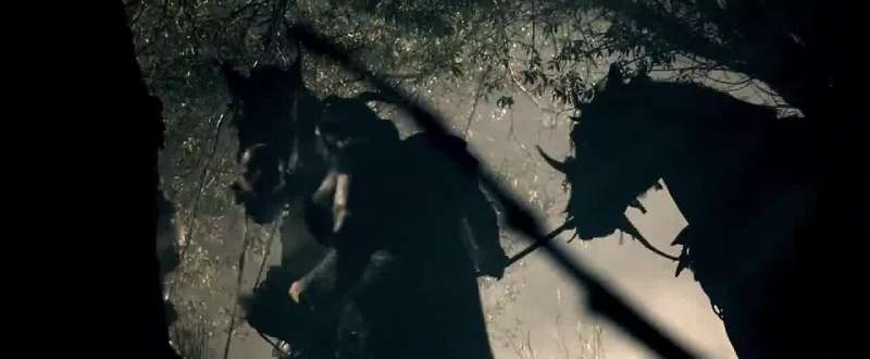 If you are not strong enough to kill the bear