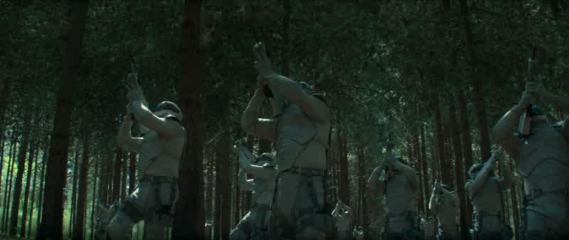 If we burn, you burn with us!