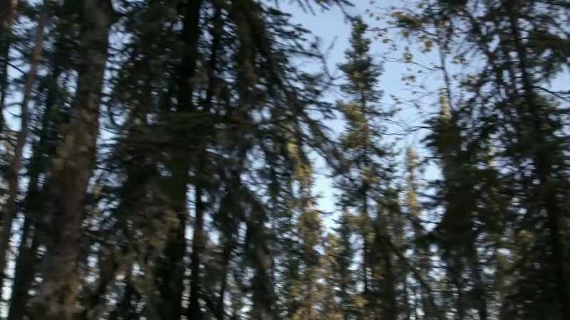 If we can eat one grouse a day