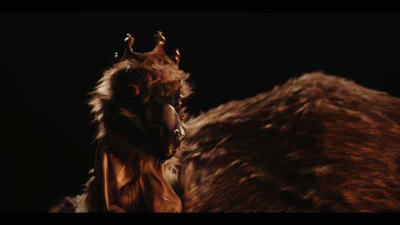 If you can pleasure my royal cloaca