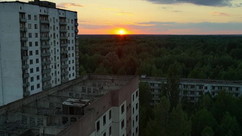 If we choose to give forests time and space