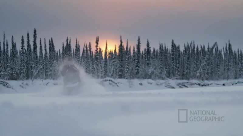 If we did not get a moose this year, you know that's 75% of