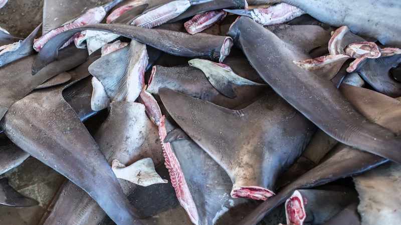If we don't save them while we have big numbers