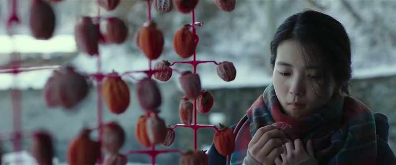 If dried persimmons taste this good