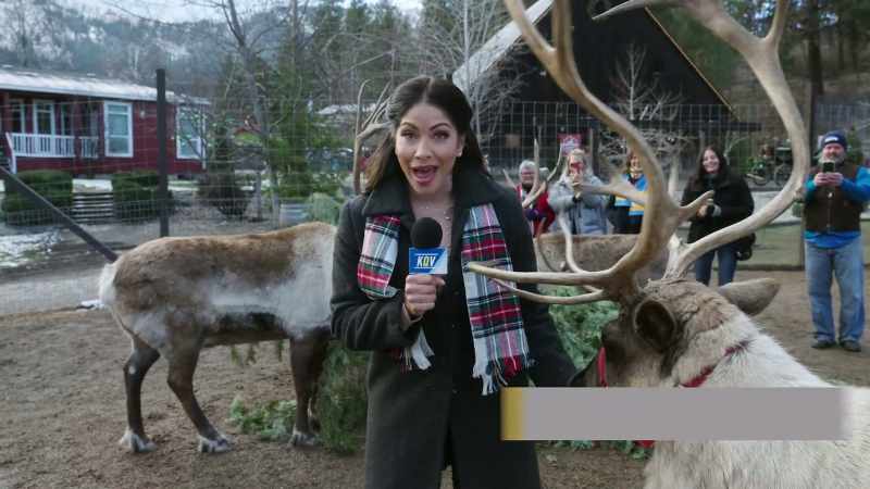 If your eight tiny reindeer ever get tired