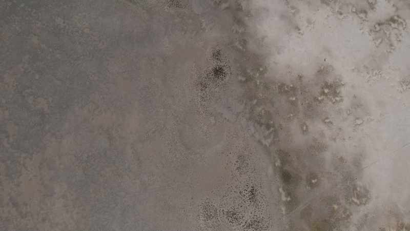 If you focus your eye on it, the whole ground