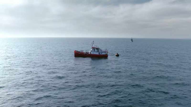If we found six in a few dives, there must be thousands out there