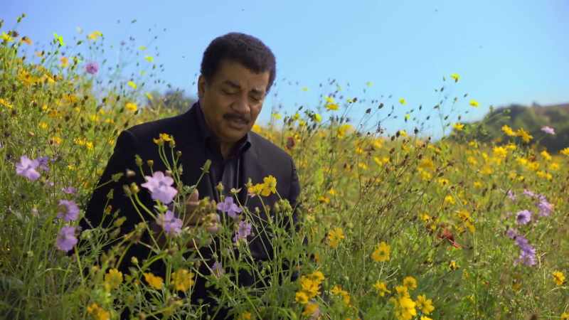 If you get lucky, some of your pollen will