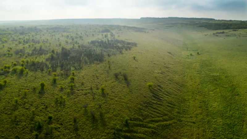 If grasslands are to be rich and diverse, they have to be grazed