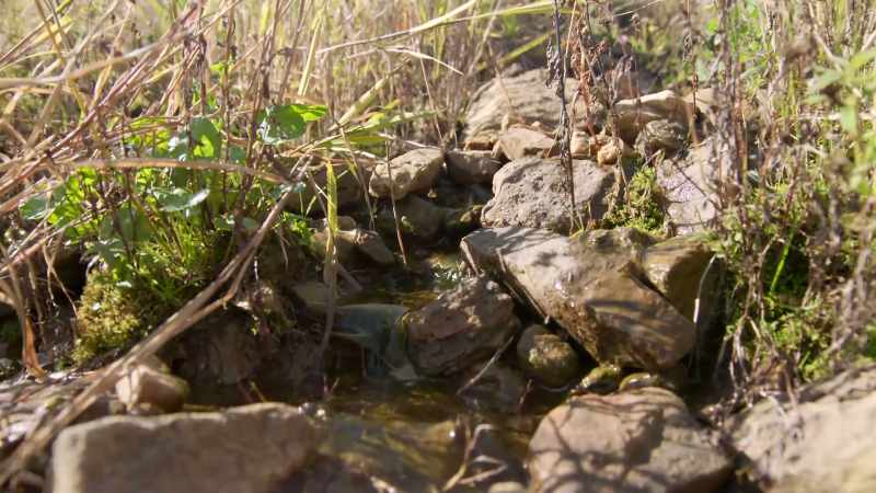 If I can trace this water back to the lake