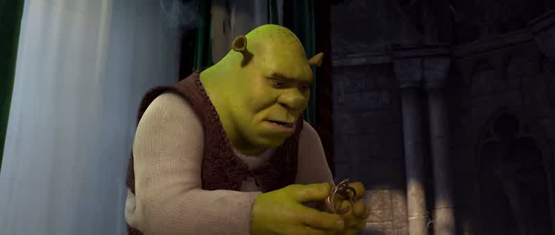 If I didn't save Fiona......then who did?