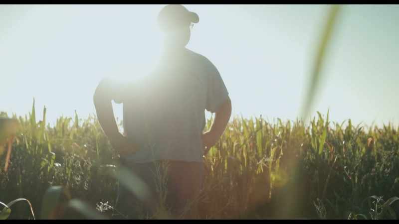 If I draw a monoculture on this field