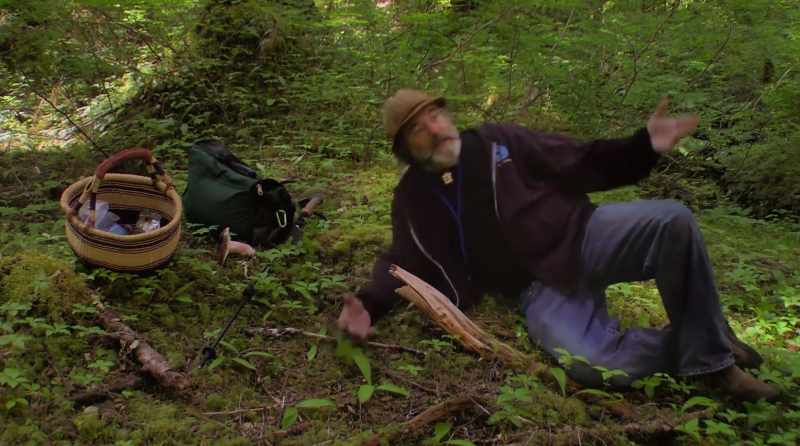 If I was laying down on the ground and I died